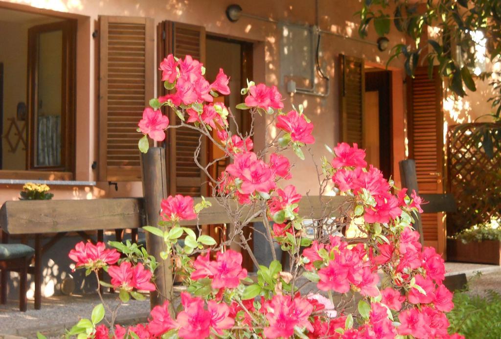 B&B Il Cortile Malpensa Casorate Sempione Ruang foto