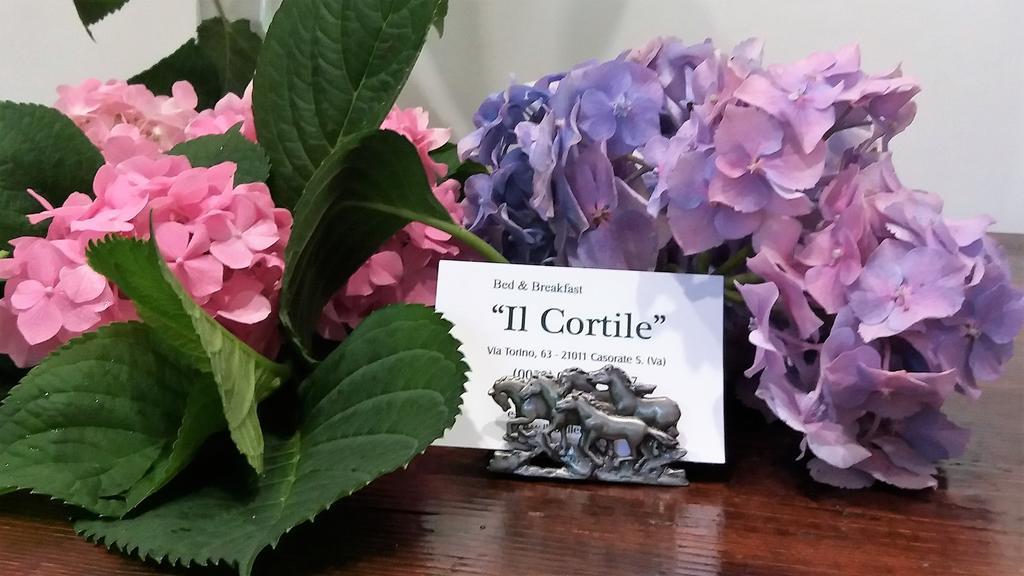 B&B Il Cortile Malpensa Casorate Sempione Bagian luar foto
