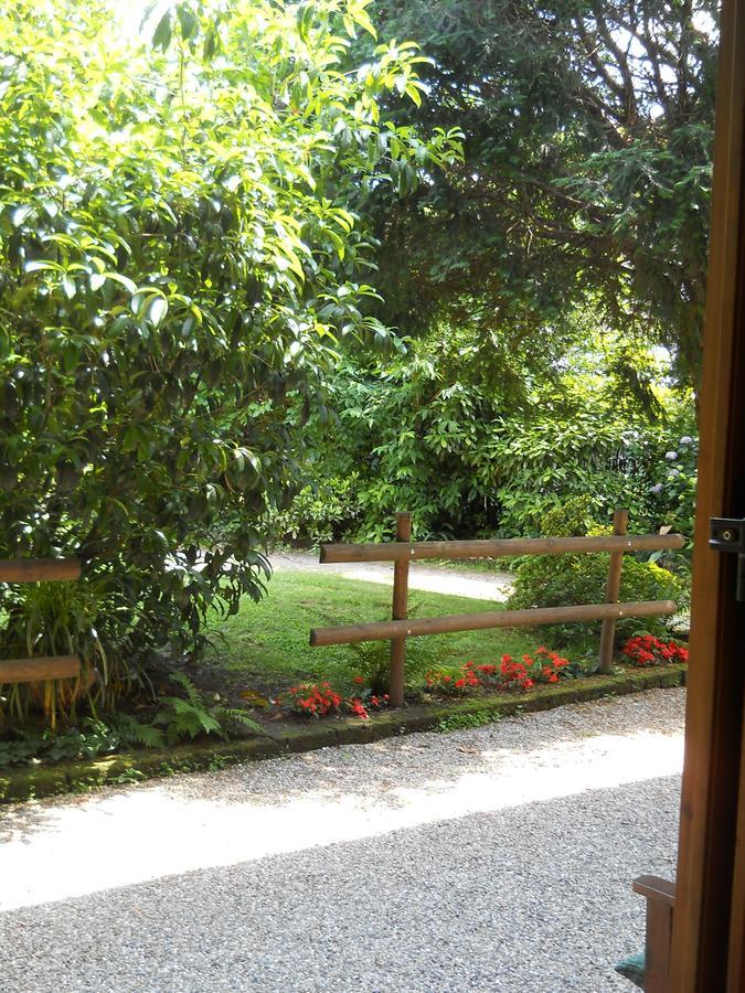 B&B Il Cortile Malpensa Casorate Sempione Bagian luar foto